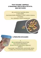 anteprima - Esperimenti - Esperimento olfattivo sui germogli delle patate - Pagina 1