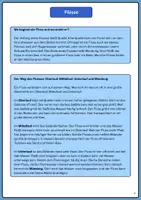 Vorschau - Arbeitsblätter - Wasserkreislauf und Flüsse Sek I - Seite 2