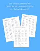Vorschau - Arbeitsblätter - Tägliche Übungen zur Addition im ZR 20 (mit Zehnerübergang) - Deckblatt