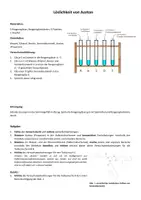 Vorschau - Arbeitsblätter - Experiment und Aufgaben zur Löslichkeit von Aceton - Seite 1