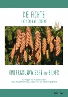 Vorschau - Merkblätter - DIE FICHTE: Hintergrundwissen und Bildmaterial - Seite 1