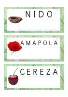 Vista previa - Tarjetas / Manipulativos - Lecto-escritura MAYÚSCULA (primavera) - página 1
