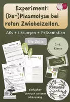 Vorschau - Arbeitsblätter - Plasmolyse bei Zwiebelzellen // die Zelle & Mikroskop - Deckblatt