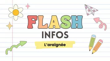 Aperçu - Préparation de séance / Séance complète - Kit pédagogique : Rituel Flash Infos – Les animaux du monde - Page 3