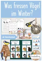 Vorschau - Stundenentwürfe - 6. Stunde: Was fressen Vögel im Winter? - Deckblatt