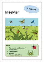 Vorschau - Arbeitsblätter - Insekten - 1. Klasse - Deckblatt