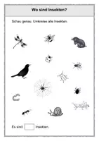 Vorschau - Arbeitsblätter - Insekten - 1. Klasse - Seite 3