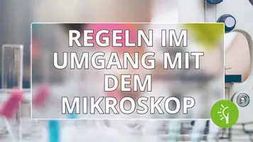 Vorschau - Arbeitsblätter - Das Mikroskop ⎮ Regeln im Umgang mit dem Mikroskop - Seite 1