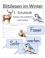 Vorschau - Bildkarten - Blitzlesen Vokale mit MLSWRNF Winter - JPEG - Deckblatt