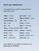 Vista previa - Hojas de trabajo - Mini cuaderno de etimología grecolatina 2: Cuerpo humano - página 2