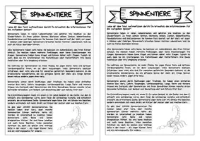 Vorschau - Arbeitsblätter - Forscherheft - Spinnentiere - Eigenständiges Arbeiten - Seite 3