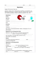 Vorschau - Stundenentwürfe - Schuljahresende - Natur und Technik 9 - mit Prüfungsfragen - Mittelschule - Seite 2