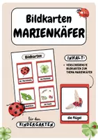Vorschau - Bildkarten - Bildkarten - Marienkäfer | Lernkarten - Deckblatt