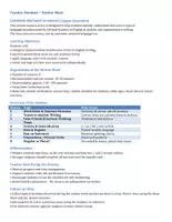 Vorschau - Unterrichtsreihen - COMMON MISTAKES IN ENGLISH (Stationenarbeit) - Seite 1
