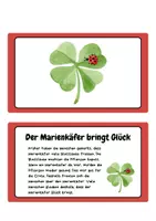 Vorschau - Bildkarten - Wissenskarten - Marienkäfer | Lernkarten - Seite 3