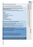 Vorschau - Merkblätter - Analyseschema | berufliche Handlungssituationen | FS / BFS - Seite 2
