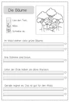 Vorschau - Arbeitsblätter - Lese-Mal- und Abschreibheft "Im Wald" (Klasse 1) - Seite 3
