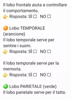 anteprima - Altro tipo di materiale - Verifica sul cervello - Pagina 3