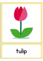 Vorschau - Bildkarten - 40+ Flashcards: spring + Easter (Englisch Grundschule und Klasse 5/6) - Seite 3