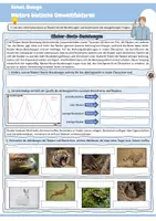 Vorschau - Arbeitsblätter - Weitere biotische Umweltfaktoren (Räuber-Beute-Beziehungen / Konkurrenz / Symbiose / Parasitismus / Ökologie / Biologie) - Seite 1