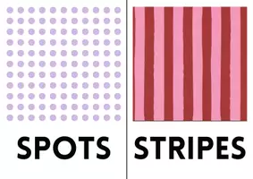 Vista previa - Juegos / Gamificación - Flashcards en inglés sobre el flamenco. - página 1