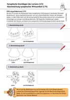 Vorschau - Arbeitsblätter - Neurobiologie Lernen Synaptische Plastizität LTP, LTD, Hebb - Seite 3