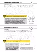 Vorschau - Arbeitsblätter - Neuroenhancer Synaptische Plastizität Gehirn Lernen Neurobiologie - Seite 2