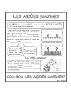 Vista previa - Hojas de trabajo - Flipbooks Tema 6. Necesitamos el agua. 3º primaria - página 3
