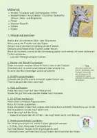 Vorschau - Mal- und Bastelvorlagen - Basteln Tiere / Kunst / Giraffe / KITA /Basteln Grundschule / Kontinent - Seite 1