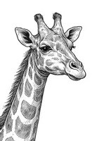 Vorschau - Mal- und Bastelvorlagen - Basteln Tiere / Kunst / Giraffe / KITA /Basteln Grundschule / Kontinent - Seite 3