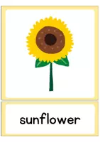 Vorschau - Präsentationen/Tafelbilder - 30+ Flashcards: Summer (Englisch Grundschule und Klasse 5/6) - Seite 1