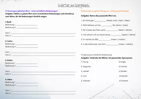 Vorschau - Arbeitsblätter - Homophone, Homonyme, Synonyme, Antonyme - Seite 1