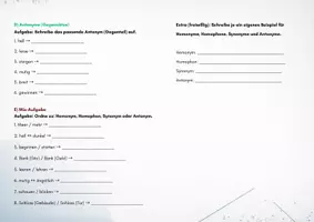 Vorschau - Arbeitsblätter - Homophone, Homonyme, Synonyme, Antonyme - Seite 2
