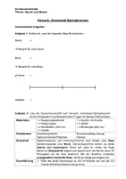 Vorschau - Arbeitsblätter - Versuch: Ammoniak-Springbrunnen (differenziert, inkl. Vor- und Nachbereitung und Lehrkräfte-Material) - Seite 3