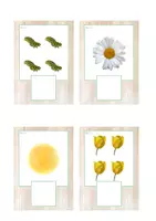 Vista previa - Tarjetas / Manipulativos - Grafía de cantidades 1-5 (primavera) - página 2