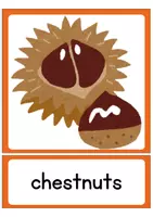 Vorschau - Bildkarten - 30 Flashcards: Autumn/ fall (Herbst) – Englisch Grundschule, Klasse 5/6 - Seite 3