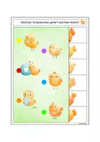 Vorschau - Stationenlernen - 🐣 Küken Klammerkarten schau genau Frühling Freiarbeit Huhn - Seite 3