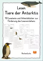 Vorschau - Arbeitsblätter - Lesen: Tiere in der Antarktis - Leseverstehen - Deckblatt