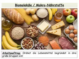 Vorschau - Stundenentwürfe - Biomoleküle - Gruppenarbeit zu Nährstoffen (Proteine, Fette, Kohlenhydrate) | fertige Unterrichtsstunde Sek I & II - Seite 1