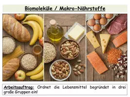Vorschau - Stundenentwürfe - Biomoleküle - Gruppenarbeit zu Nährstoffen (Proteine, Fette, Kohlenhydrate) | fertige Unterrichtsstunde Sek I & II - Seite 2