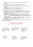 anteprima - Schede informative - UNIONE EUROPEA ED ITALIA-ORGANIZZAZIONE POLITICA - Pagina 1