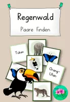 Vorschau - Spiele - Paare finden Regenwald - 4fach differenziert - Deckblatt