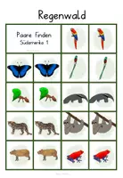 Vorschau - Spiele - Paare finden Regenwald - 4fach differenziert - Seite 1