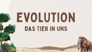 Vorschau - Stundenentwürfe - Evolution Unterricht Biologie – komplette Einführungsstunde Materialpaket Sekundarstufe Einführung Unterricht – komplette Stunde - Seite 1
