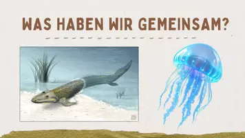 Vorschau - Stundenentwürfe - Evolution Unterricht Biologie – komplette Einführungsstunde Materialpaket Sekundarstufe Einführung Unterricht – komplette Stunde - Seite 2