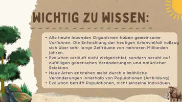 Vorschau - Stundenentwürfe - Evolution Unterricht Biologie – komplette Einführungsstunde Materialpaket Sekundarstufe Einführung Unterricht – komplette Stunde - Seite 3