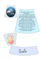 Vorschau - Präsentationen/Tafelbilder - Legekreis Unterwasserwelt - Meer - Seite 3