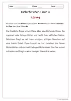 Vorschau - Arbeitsblätter - Rechtschreibung - Fehlerforscher: ie oder i? - Seite 3