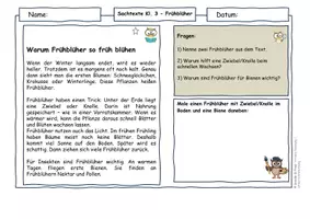 Vorschau - Arbeitsblätter - Frühblüher Materialpaket Klasse 1–4 | Sachtexte mit Fragen (differenziert) - Seite 1