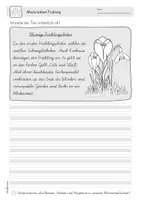 Vorschau - Arbeitsblätter - Abschreibtexte Frühling | Schulausgangsschrift (SAS) - Seite 2